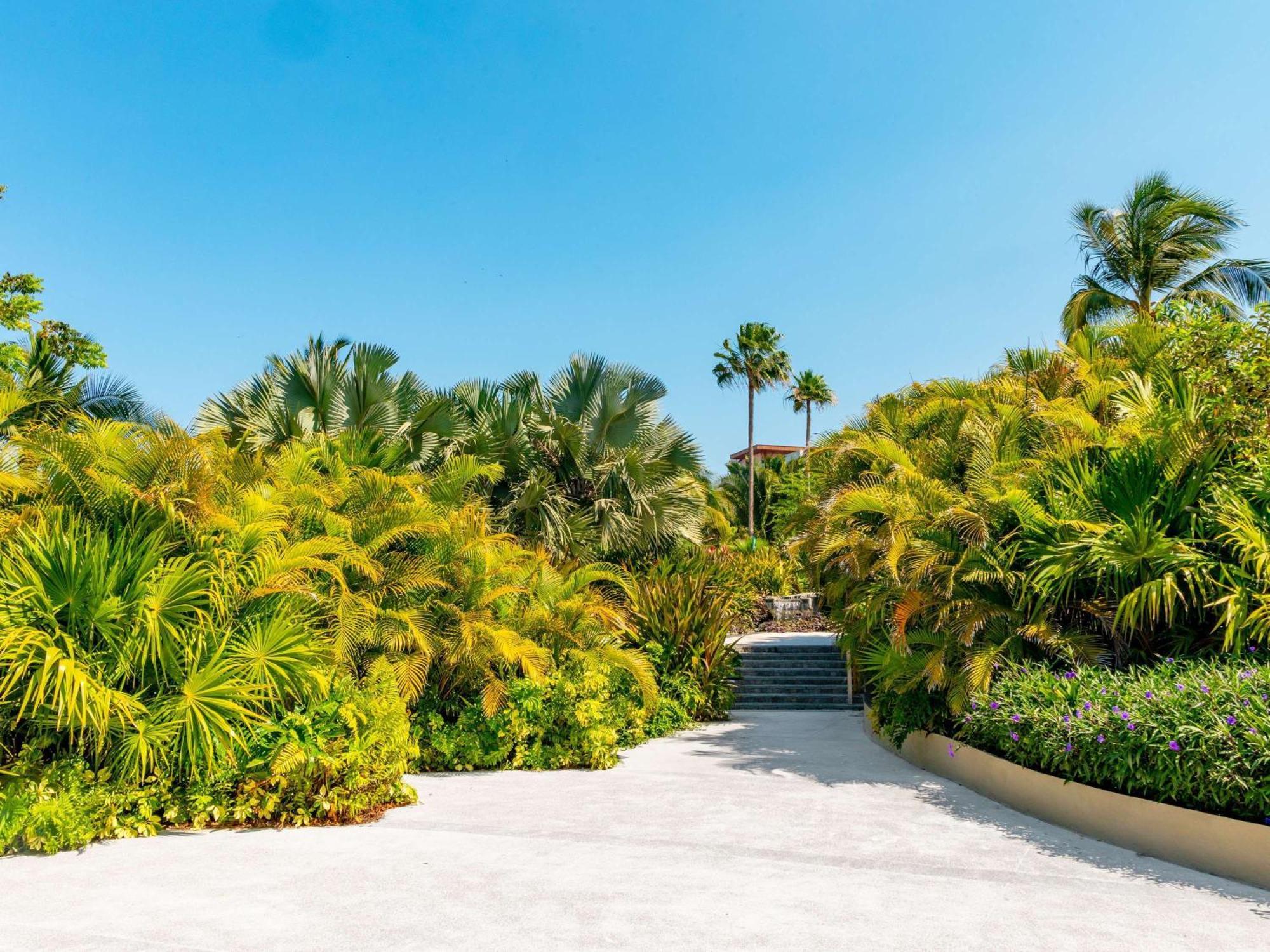 Armony Marival Resort & Spa Punta De Mita - Mgallery Collection (Adults Only) Punta Mita Buitenkant foto